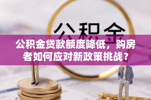 新园公积金贷款额度降低，购房者如何应对新政策挑战？