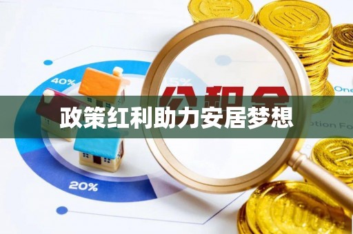 新园政策红利助力安居梦想