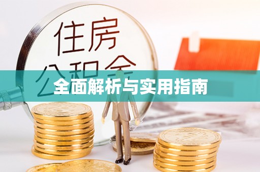 新园全面解析与实用指南