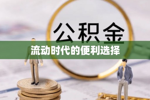 新园流动时代的便利选择