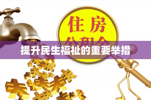 新园提升民生福祉的重要举措
