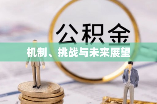 新园机制、挑战与未来展望